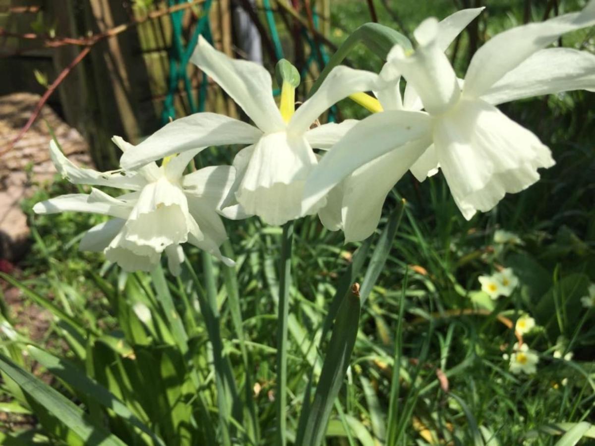 Fishermen's Retreat - Self Catering * Bath