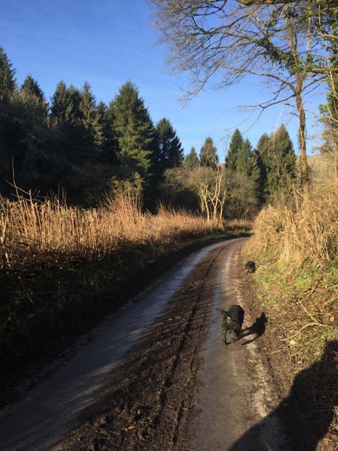Norwell View Farm Glamping With Hot Tubs Campsite