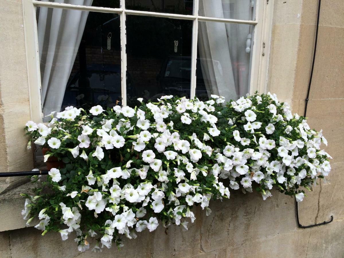No 4 Ainslie's Belvedere *