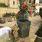 Gorgeous Garden Apartment
