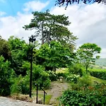 Garden Flat