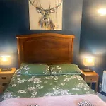 Quiet Lower Floor 2 Bed City Apartment With Private Patio Garden