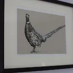 The Pheasant