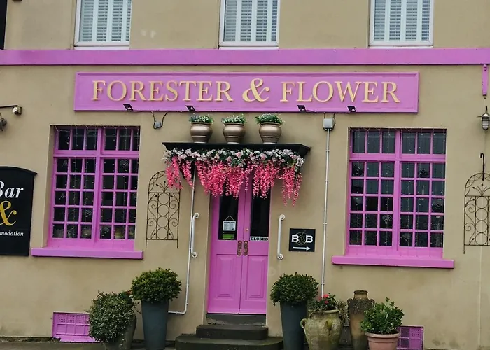 The Forester And Flower