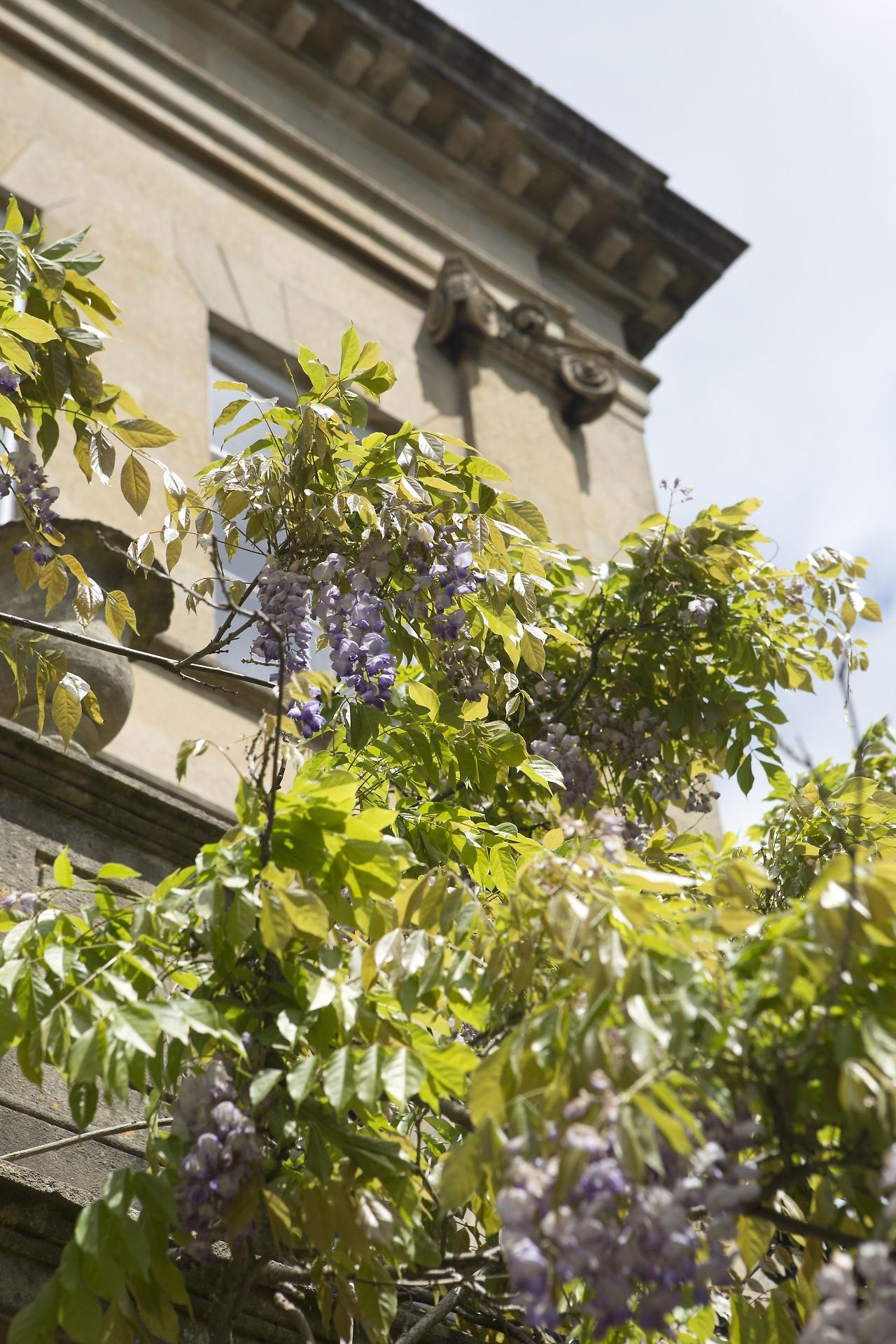 Hotel Bailbrook House Hotel,