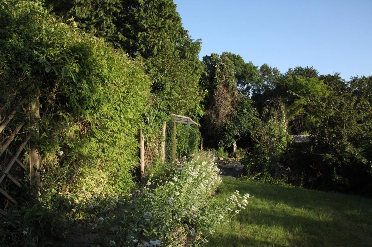 Spacious In Bath, Nature And City!