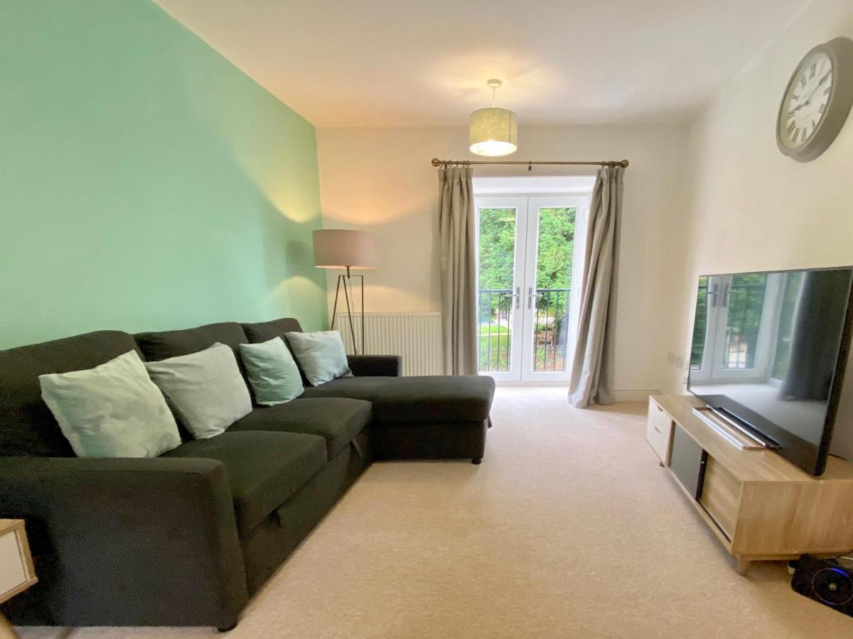 Beautiful, Contemporary 3 Bedroom