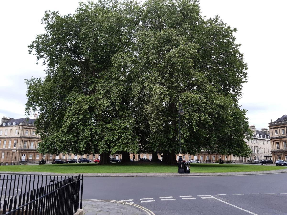 Pulteney Road Apartment