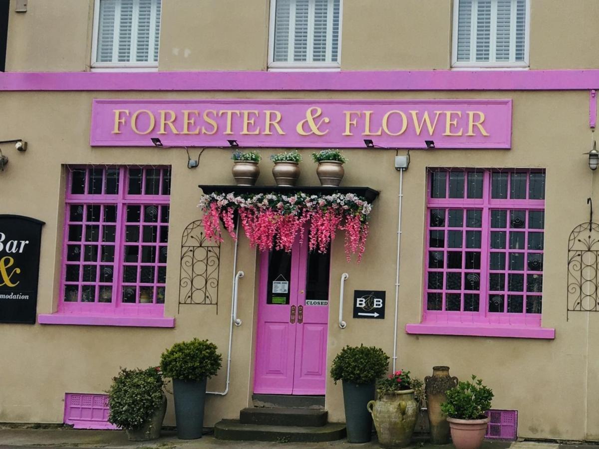 The Forester And Flower Guest house