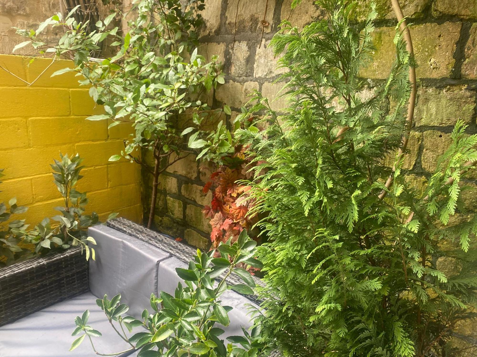 Quiet Lower Floor 2 Bed With Private Patio Garden Bed & Breakfast 4*