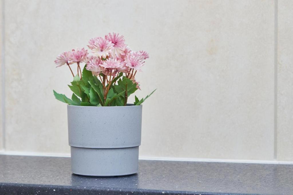 The Collection - The Hepburn Bath