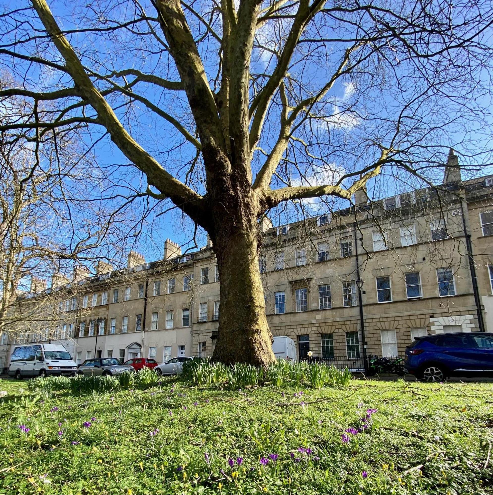 Grosvenor In - Great For Families, Groups, Couples, 80 Sq M, Parking Bath