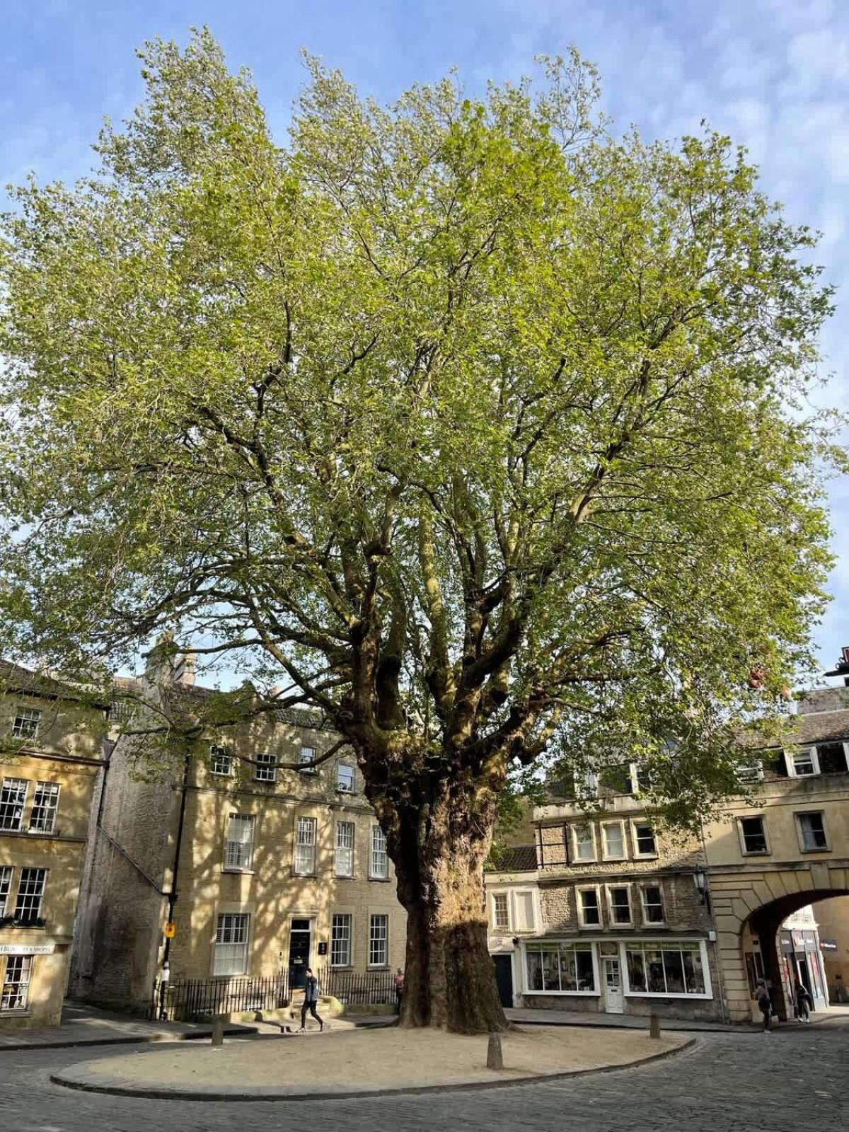 Margarets Buildings Centre Bath