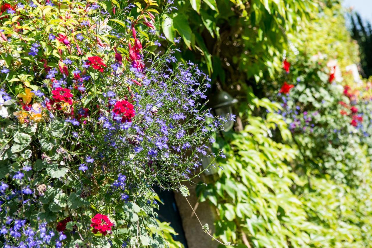 The Longleat Arms Guest house 4*