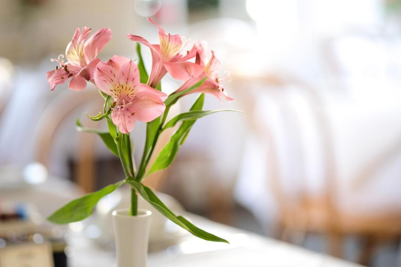Edgar Townhouse Guest house 3*