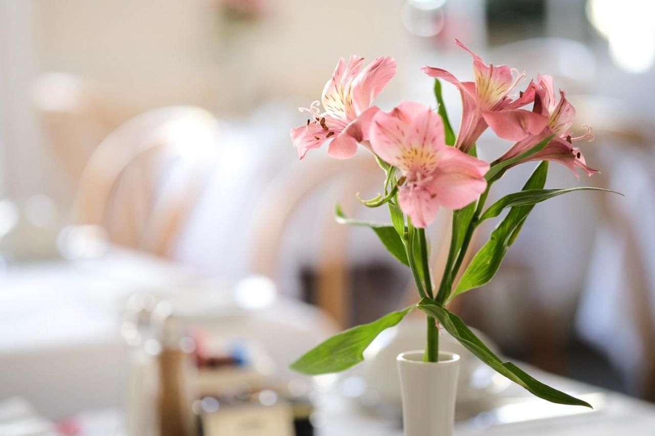 Edgar Townhouse Guest house 3*