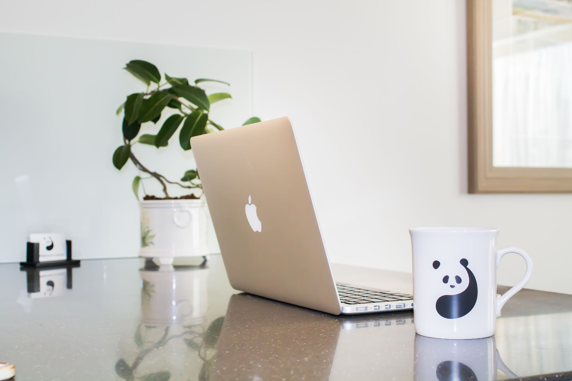 Apartment Panda Sanctuaries