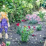 The Wonderland Townhouse - Alice In Wonderland 7Bdr Home