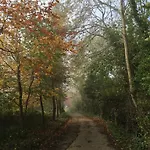 Pathways, Beachwood Cottage