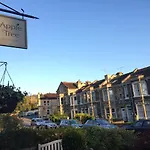 Apple Tree Boutique B&B