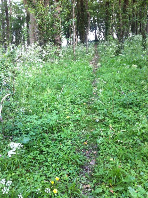 Pathways, Beachwood Bath