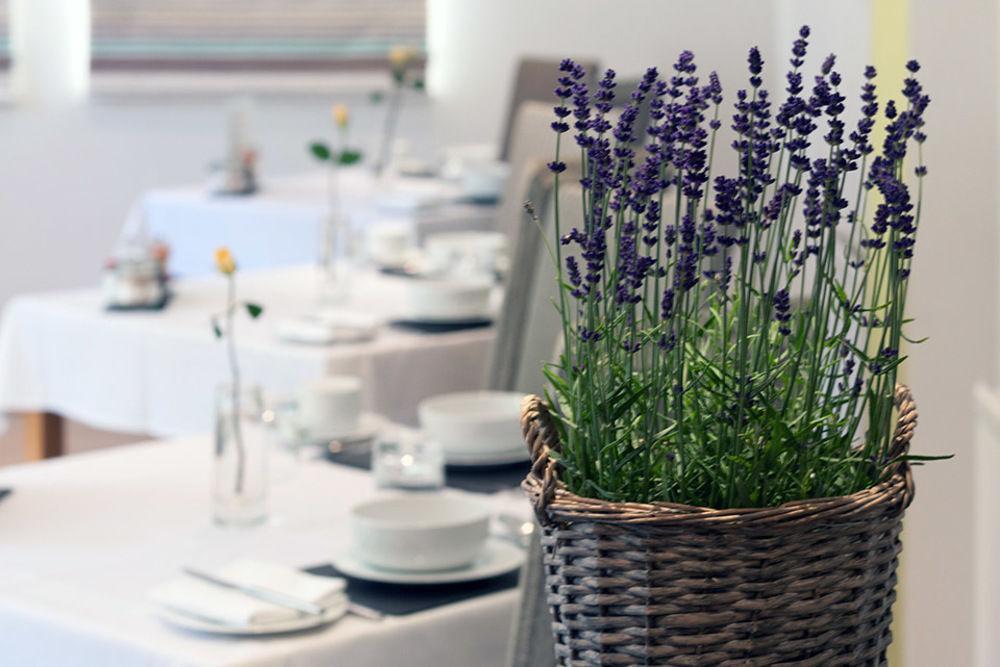 Leighton House - Boutique Guesthouse Bed & Breakfast