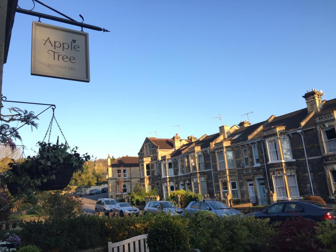 Apple Tree Boutique