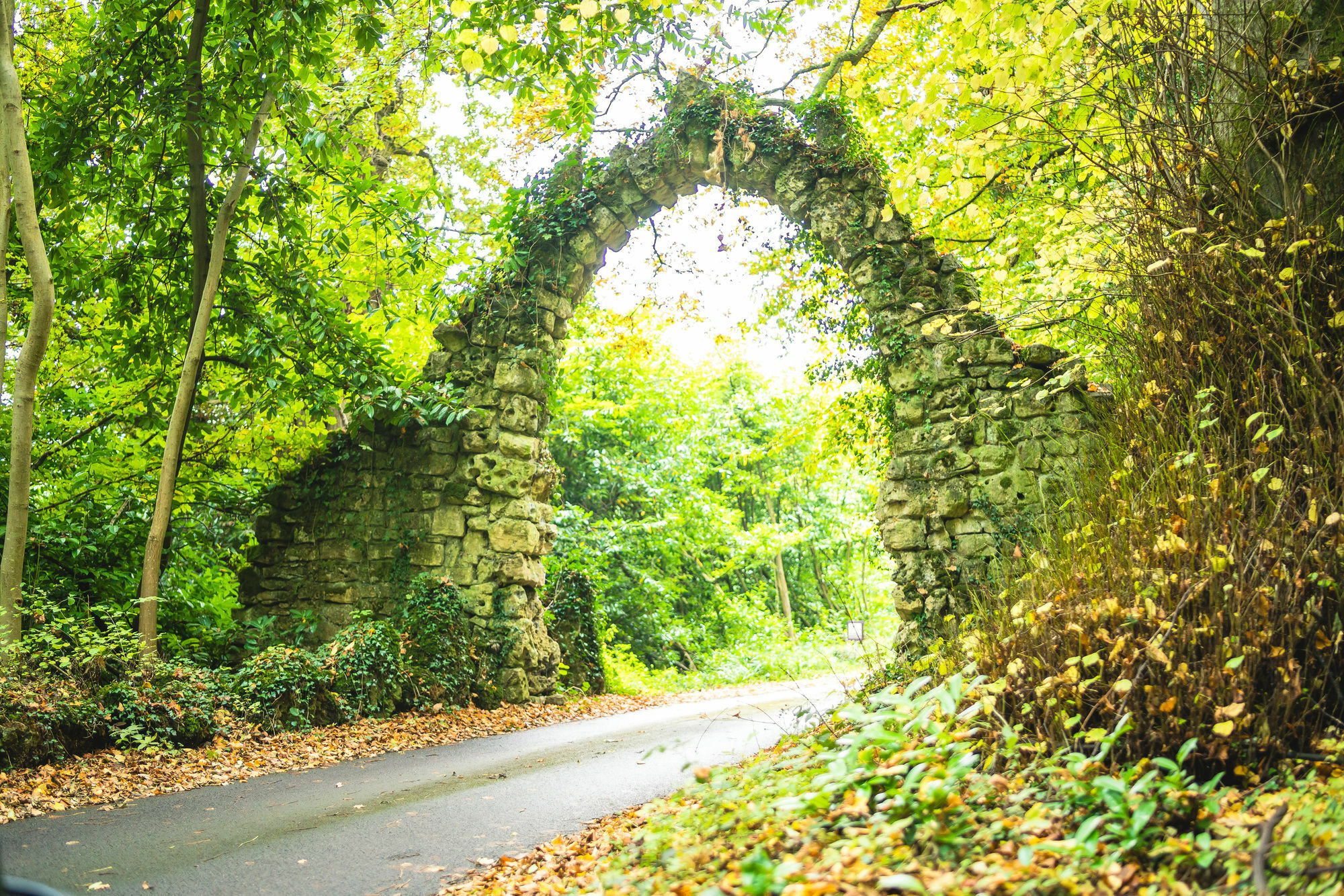 Combe Grove Hotel